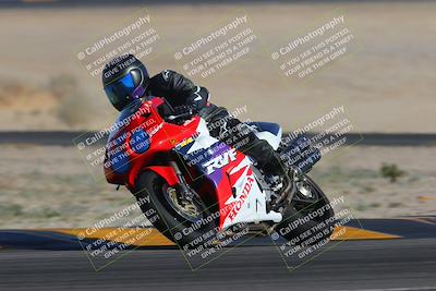 media/Feb-04-2023-SoCal Trackdays (Sat) [[8a776bf2c3]]/Turn 4 (Tree of Life 2pm)/